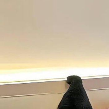 每日一善[超话]✨️阳光信用 ✨️每日一善 善良之举，需要人人拥有，善良之歌，需