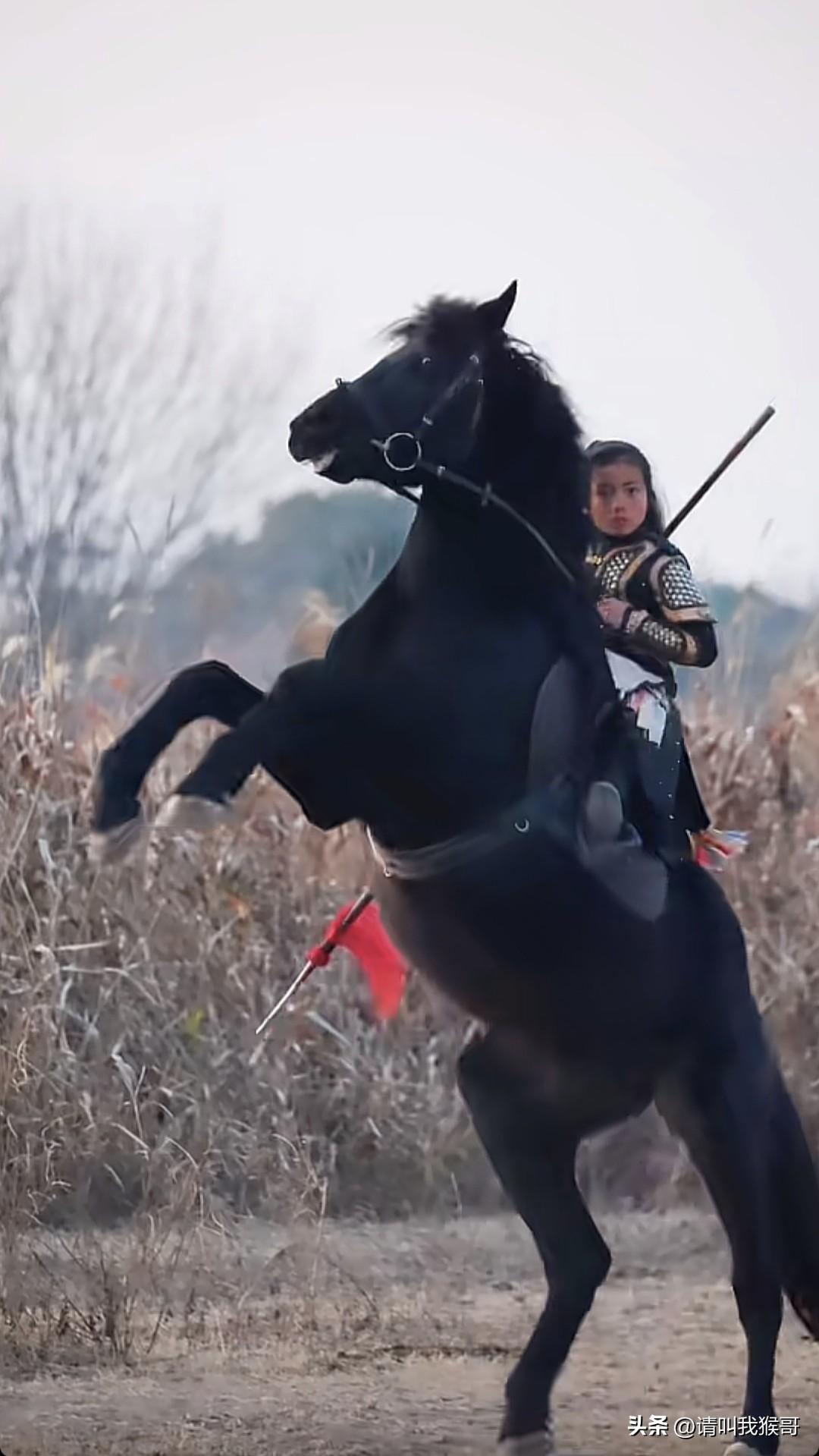 我觉得以后拍将军小时候就选他，挺好的