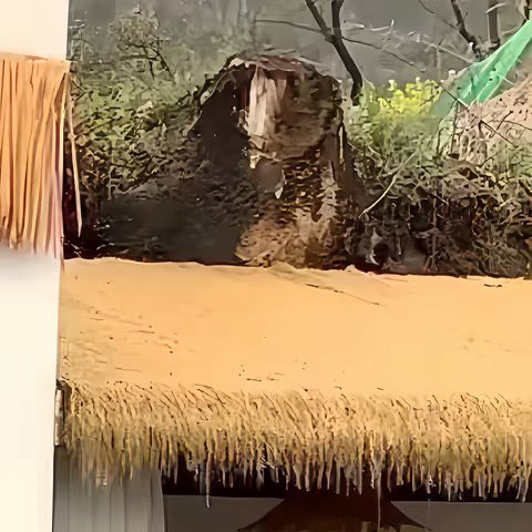 运动能让人拥有强健的体魄，看到更多美好的风景；读书能让人拓展视野，心境也会越来越