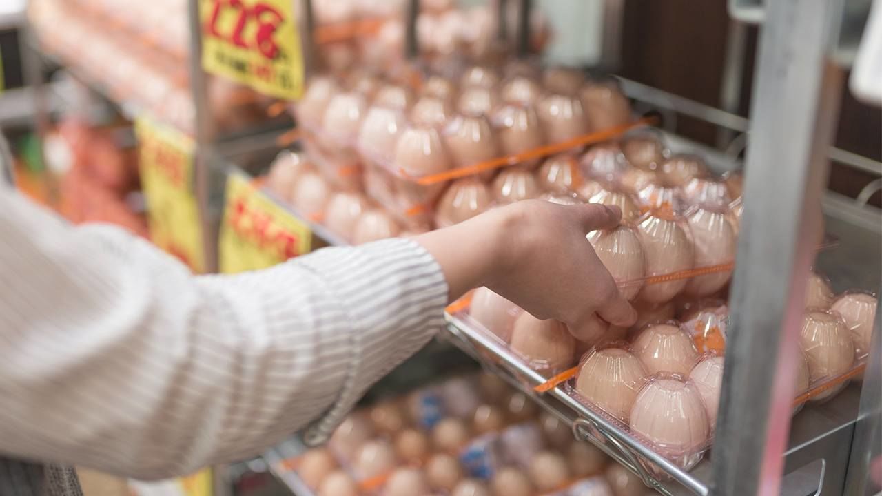 日本正面临禽流感导致的鸡蛋价格危机。全国多地的养鸡场疫情蔓延，使得基准蛋价已逼近