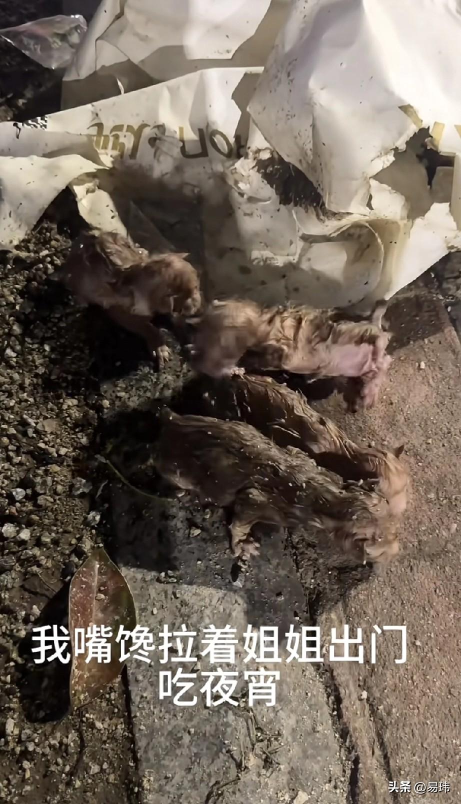 泪目了！这天夜里一位小姐姐约上闺蜜一起去吃夜宵，当她走到一个公园附近的时候，听到