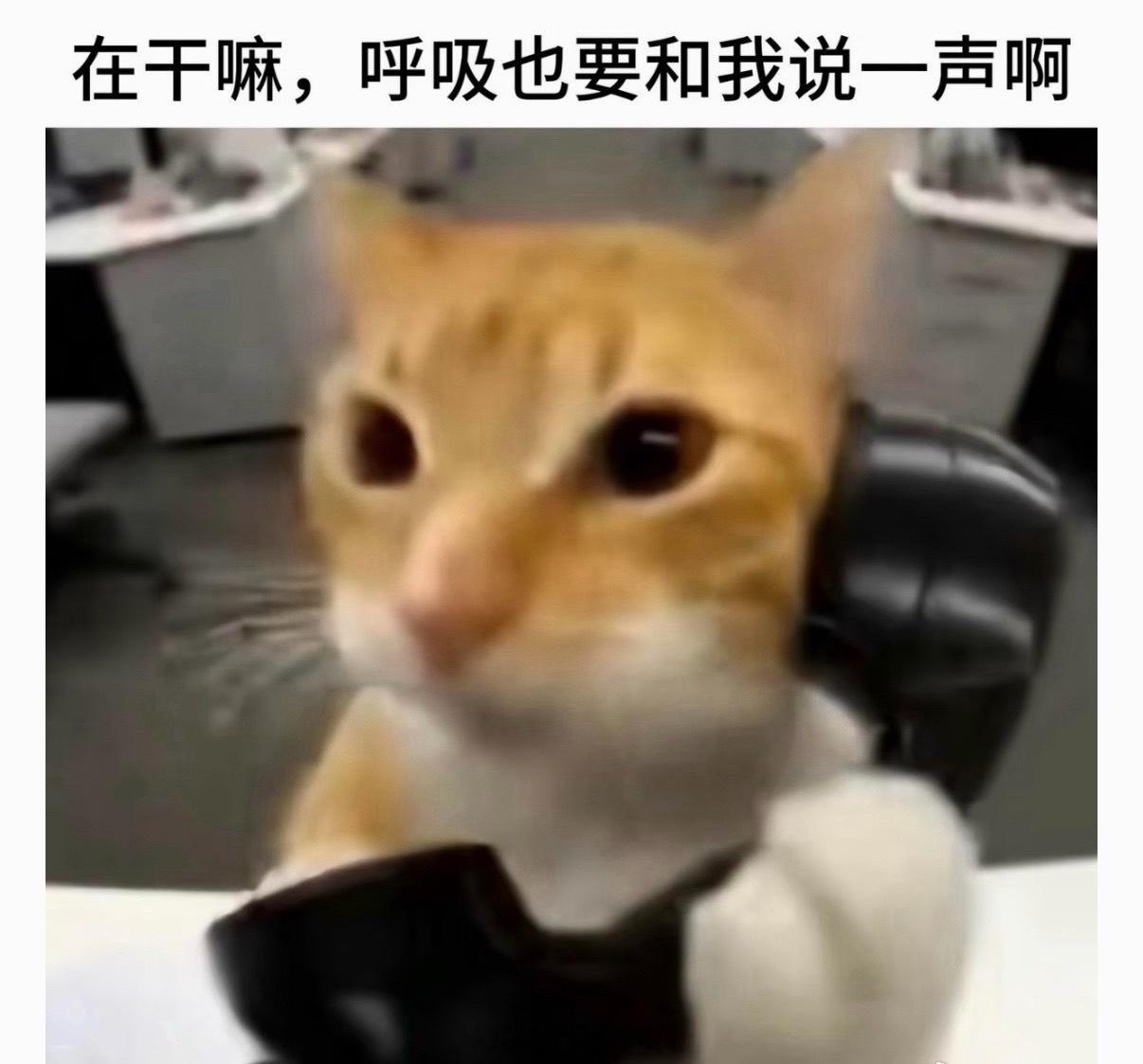 萧逸一天没收到你消息be like： ​​​
