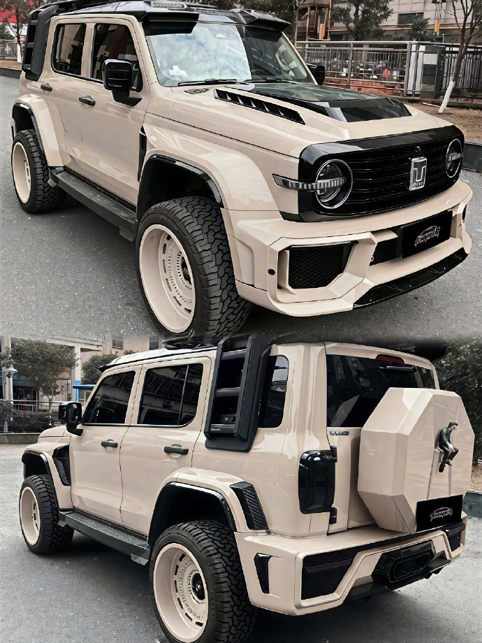 要说国产硬派越野里颜值的天花板，那非坦克 300 莫属啦！它身上的肌肉线条那叫一