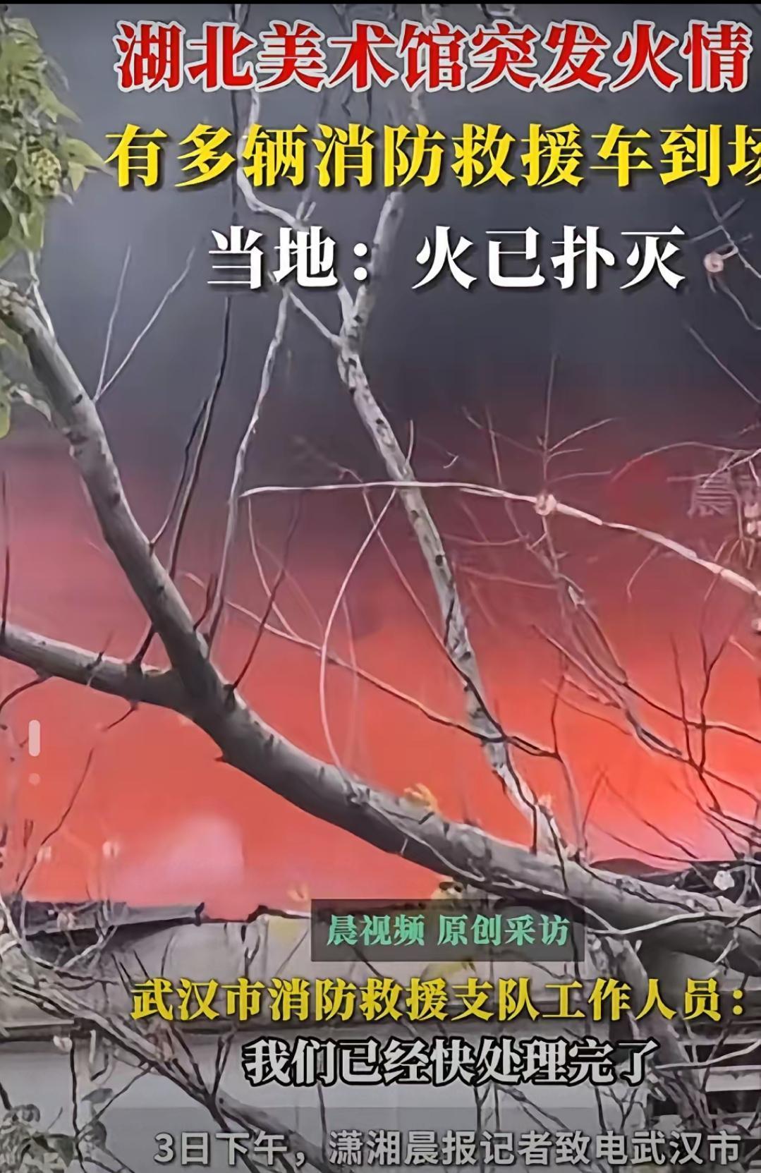 彻底赌输了！南博事件后和朋友赌200块，半个月内必有博物馆美术馆起火，结果湖北美