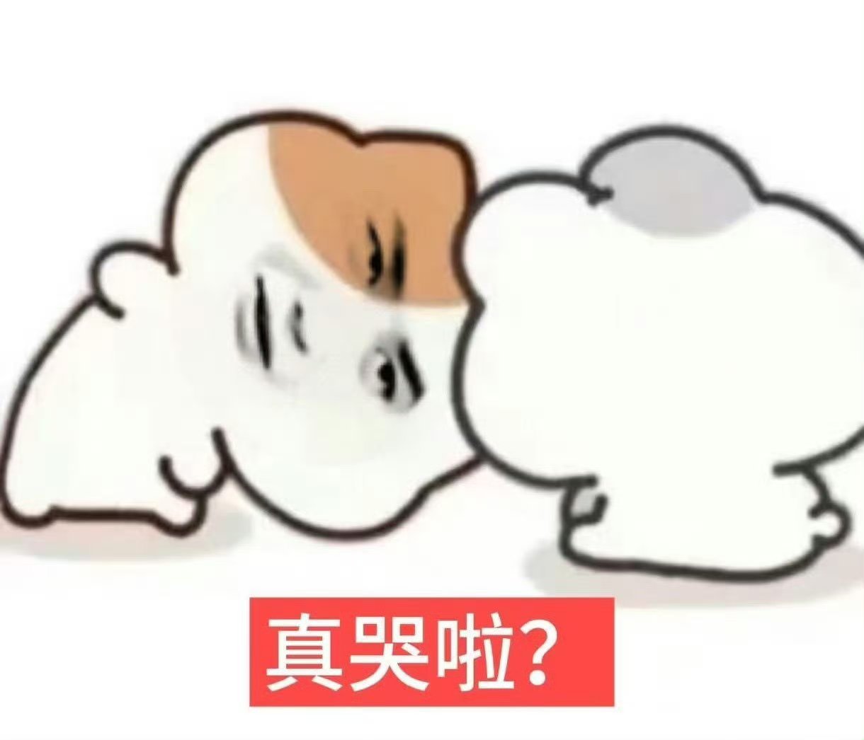 杜华说王一博很幸运遇到我  荒缪姐那么想证明乐华没有王一博可以，但听到大家那么问