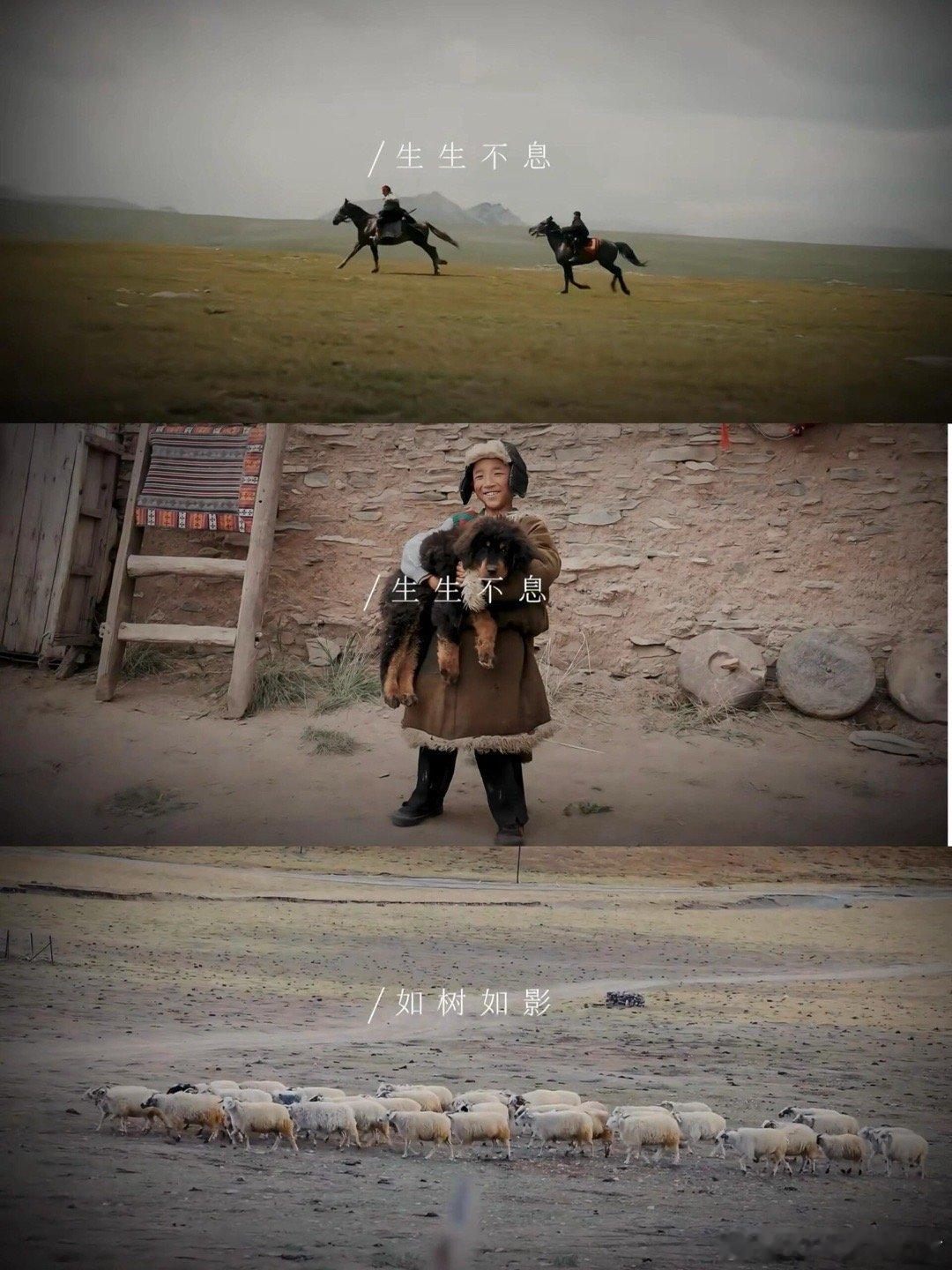 胡歌生命树戒断反应 看完这集满脑子都是多杰在风雪里的样子，胡歌的演技太有穿透力了