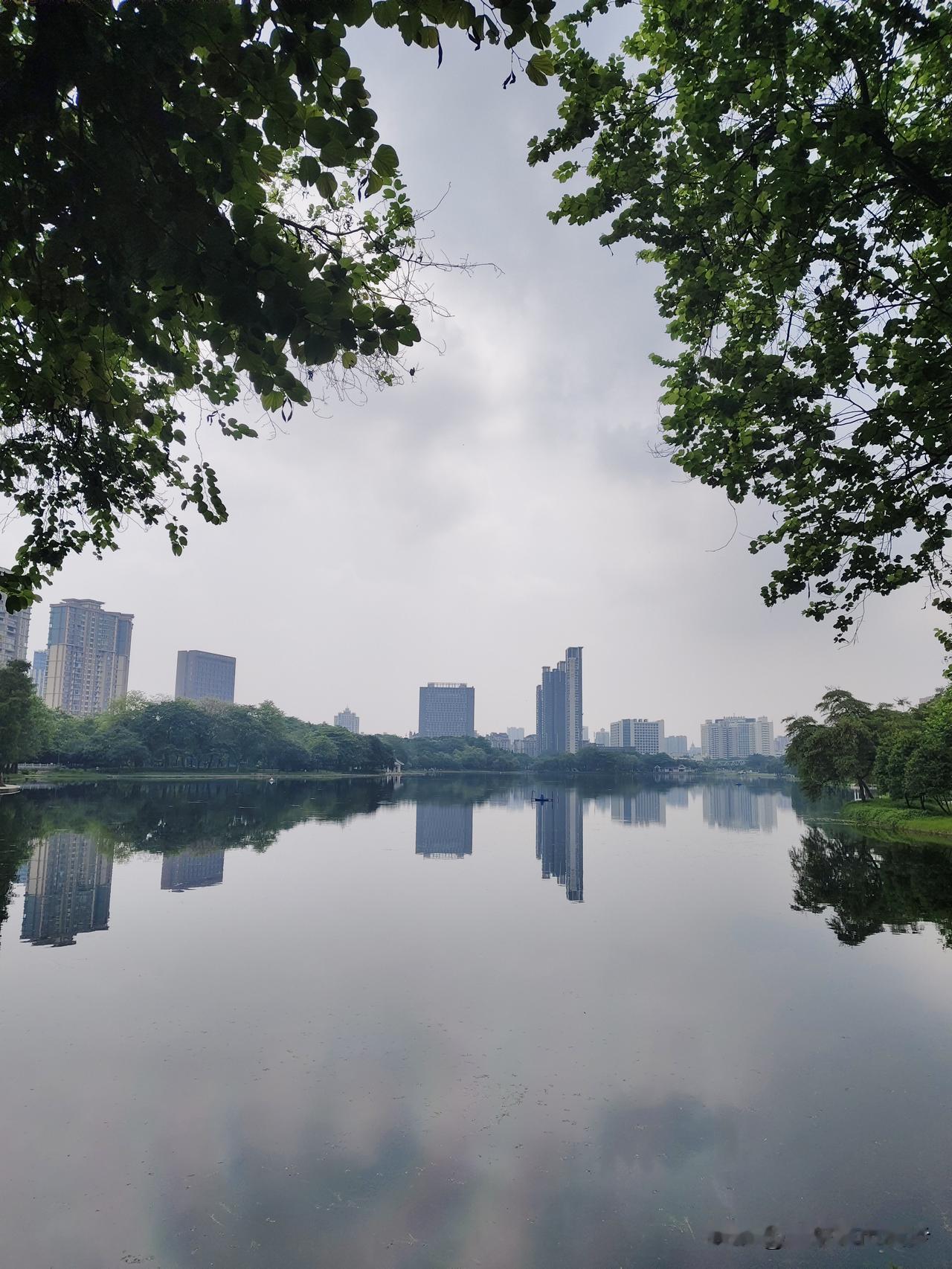 亚艺拍湖景实景绝美，实拍直接翻车！2个构图诀窍，去拍照别踩坑
刚在亚艺拍完荷花，