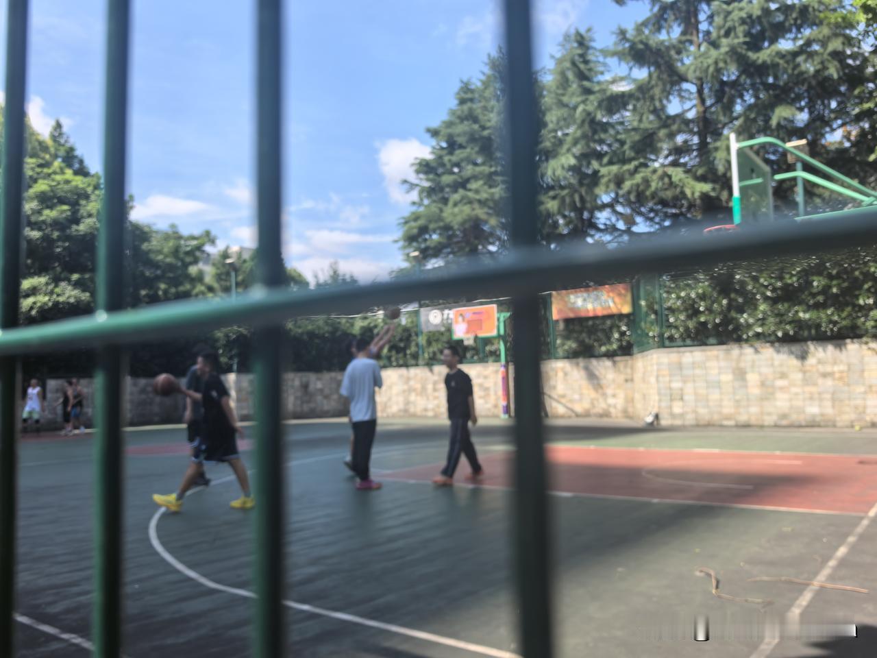 陪着小朋友来到江浦公园，来寻找台风留下的踪迹。
巴威匆匆路过，没有留下太多痕迹，