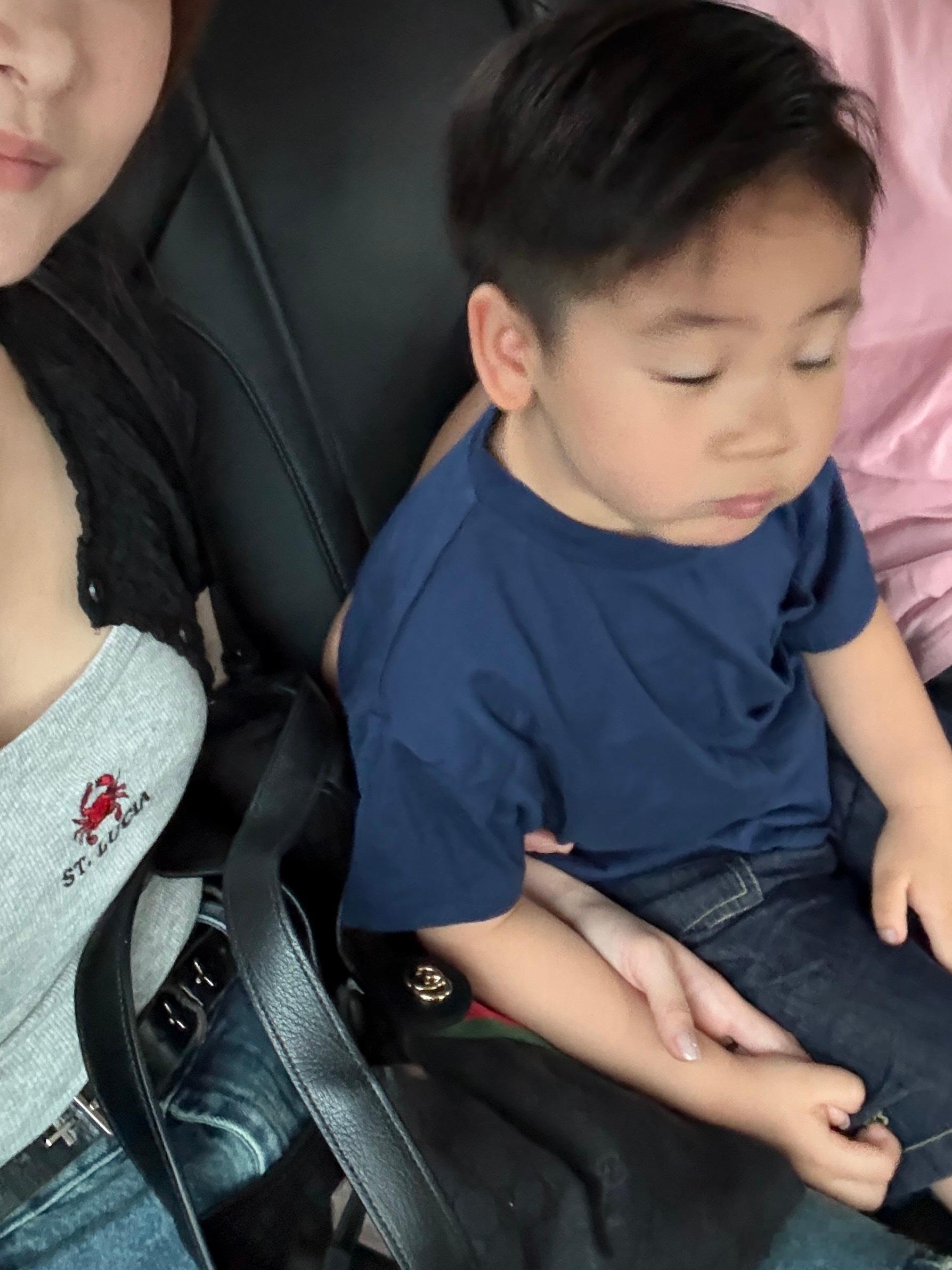 早晨去上幼鹅园的丛了个丛