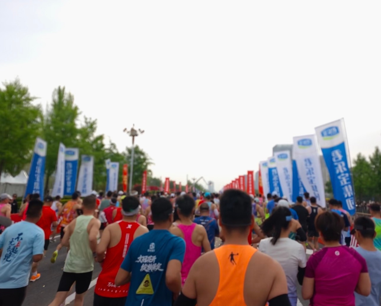 2026青岛马拉松中签率不足一成青马报名人数较上届暴涨40.8% 25.18万人