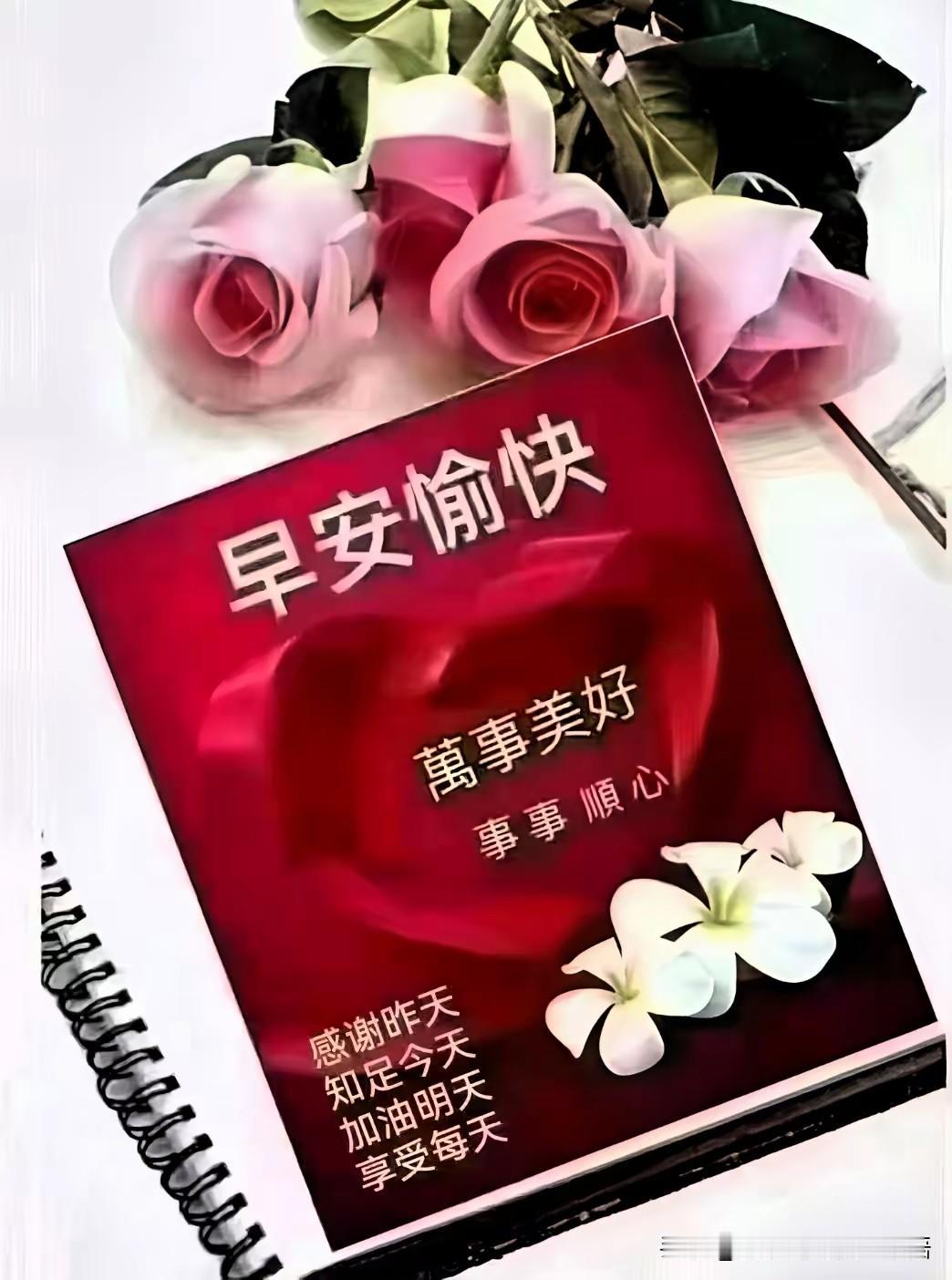 早安愉快，万事美好，感恩每一天！🌹💐🌺每日祝福早安