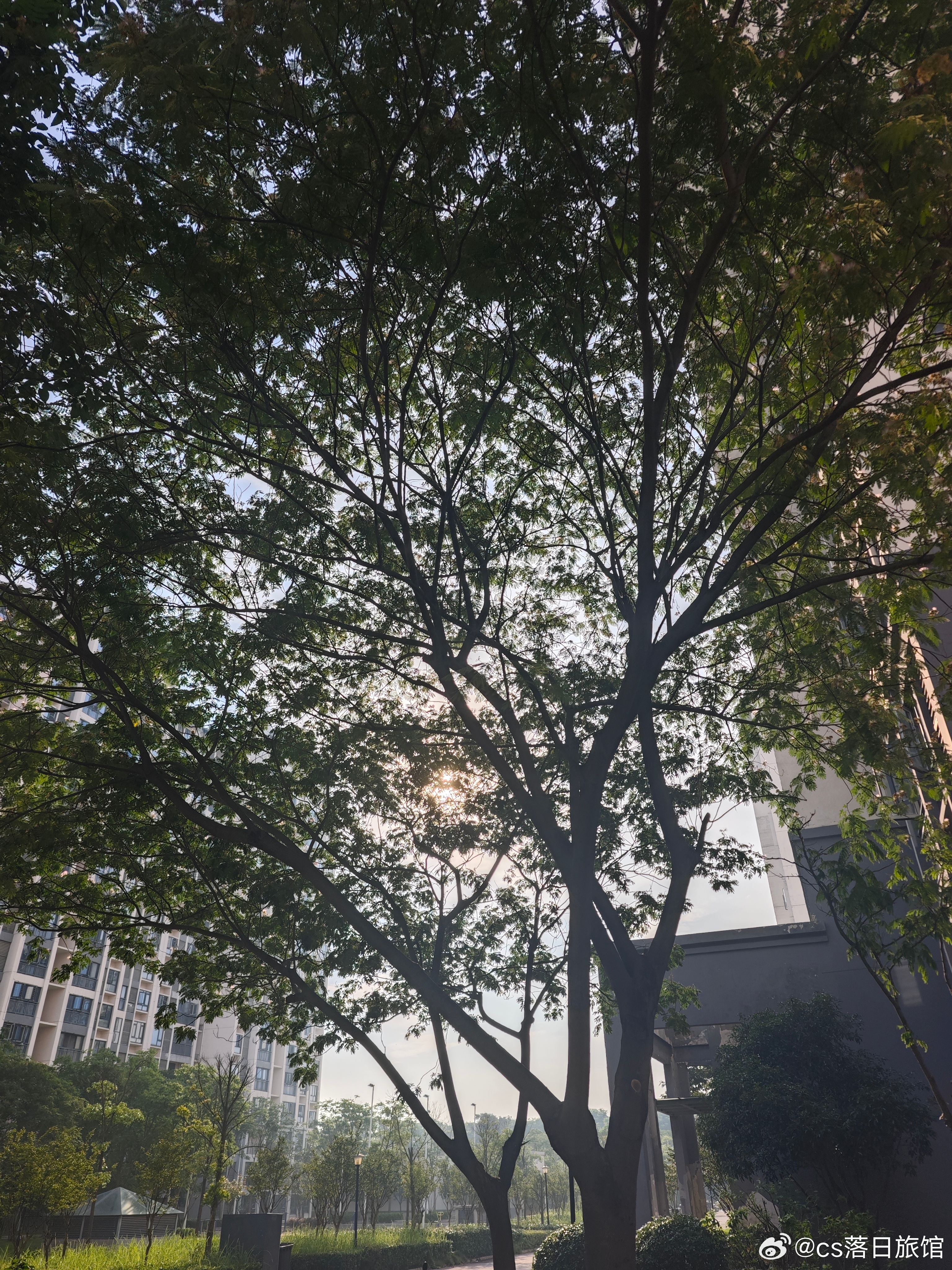 早上下雨，这时候又出太阳，夏天的天气真是说变就变。 