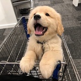 云霜说说科技