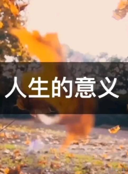 人生的意义在于寻找人生的意义