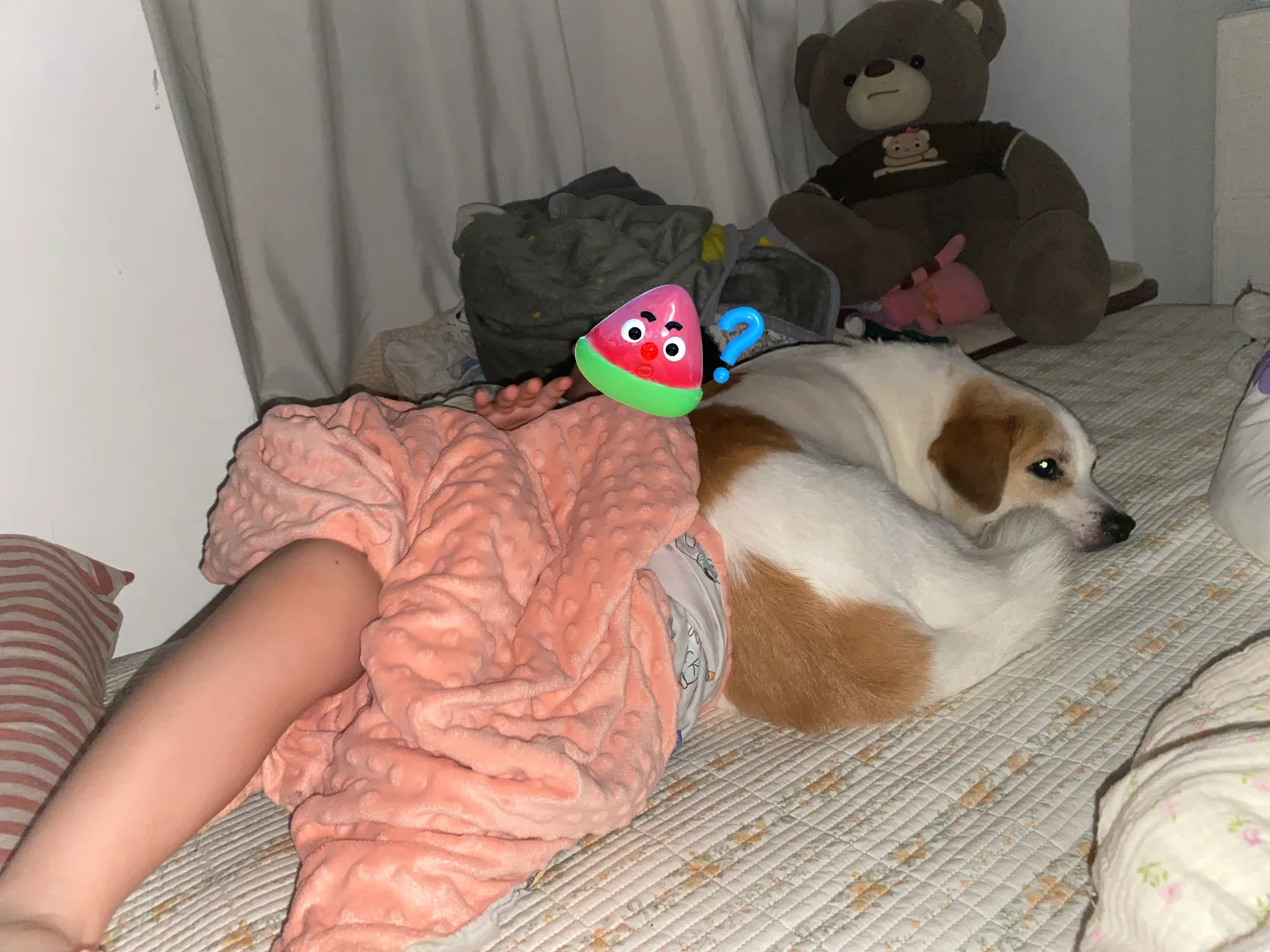 狗姐半夜偷偷上床跟弟弟睡觉