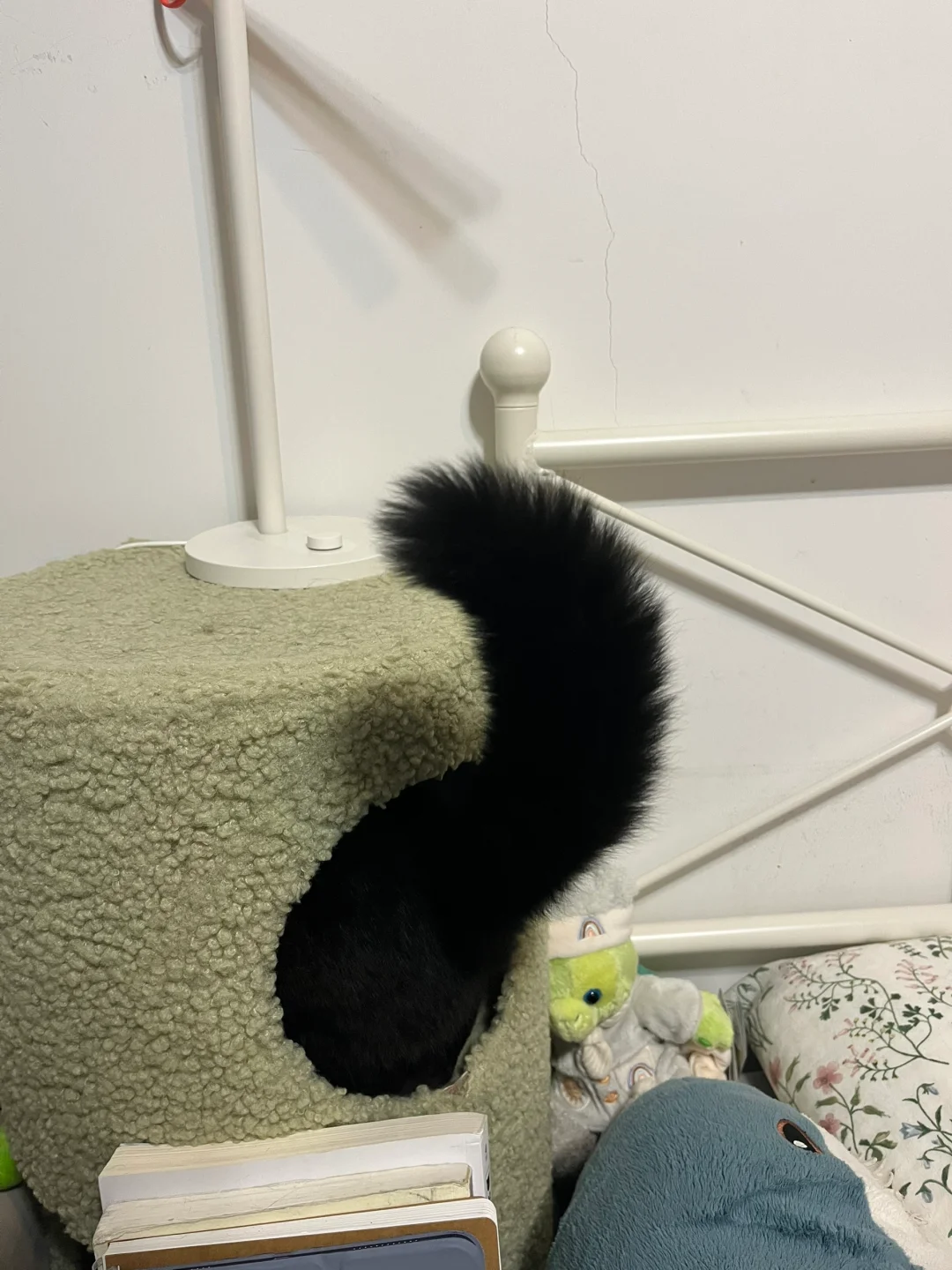 糟糕！是大尾巴