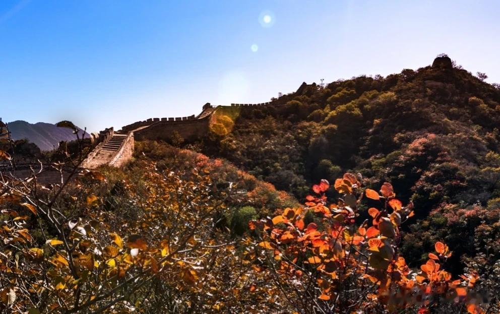 北京延庆当地海拔高、昼夜温差大、气候特征明显，八达岭景区是北京地区红叶红得较早、