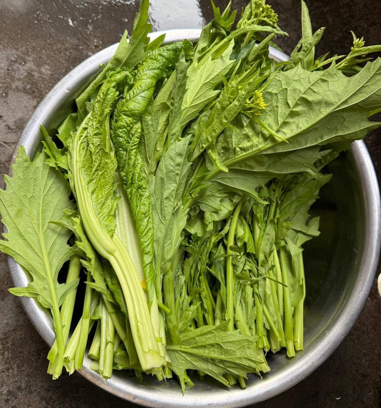 这种苦涩的菜，我们叫青菜！大鱼大肉吃油腻了，吃这种菜，真的好吃爽口。