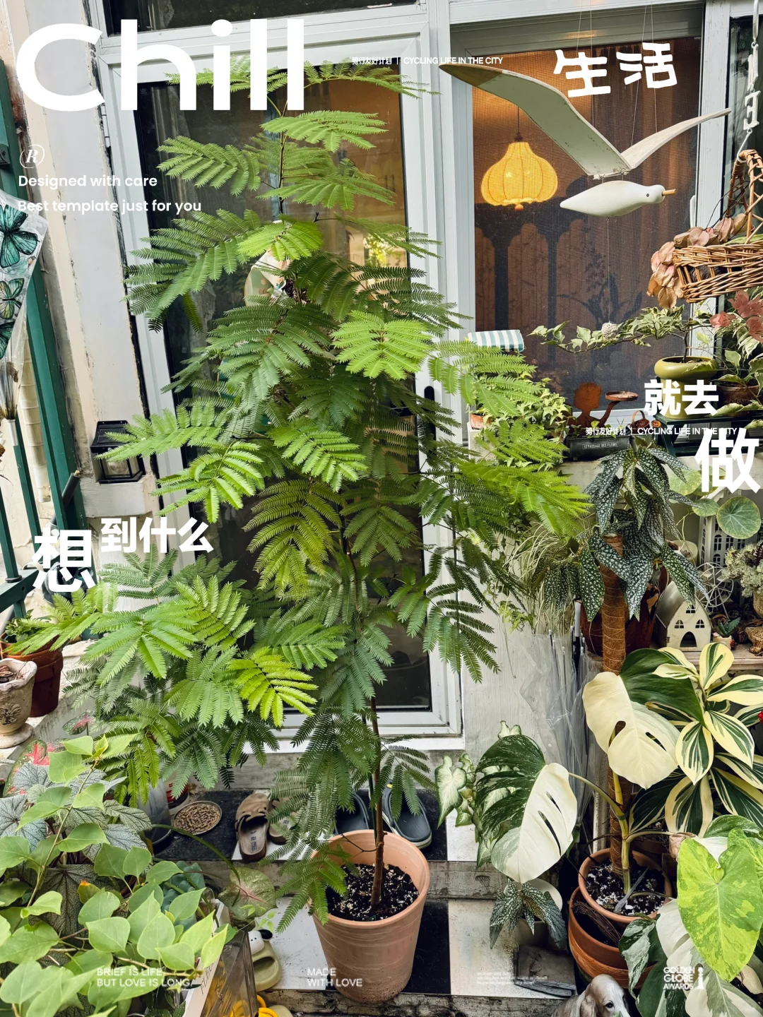 既然卡门口了那就拍照吧～
