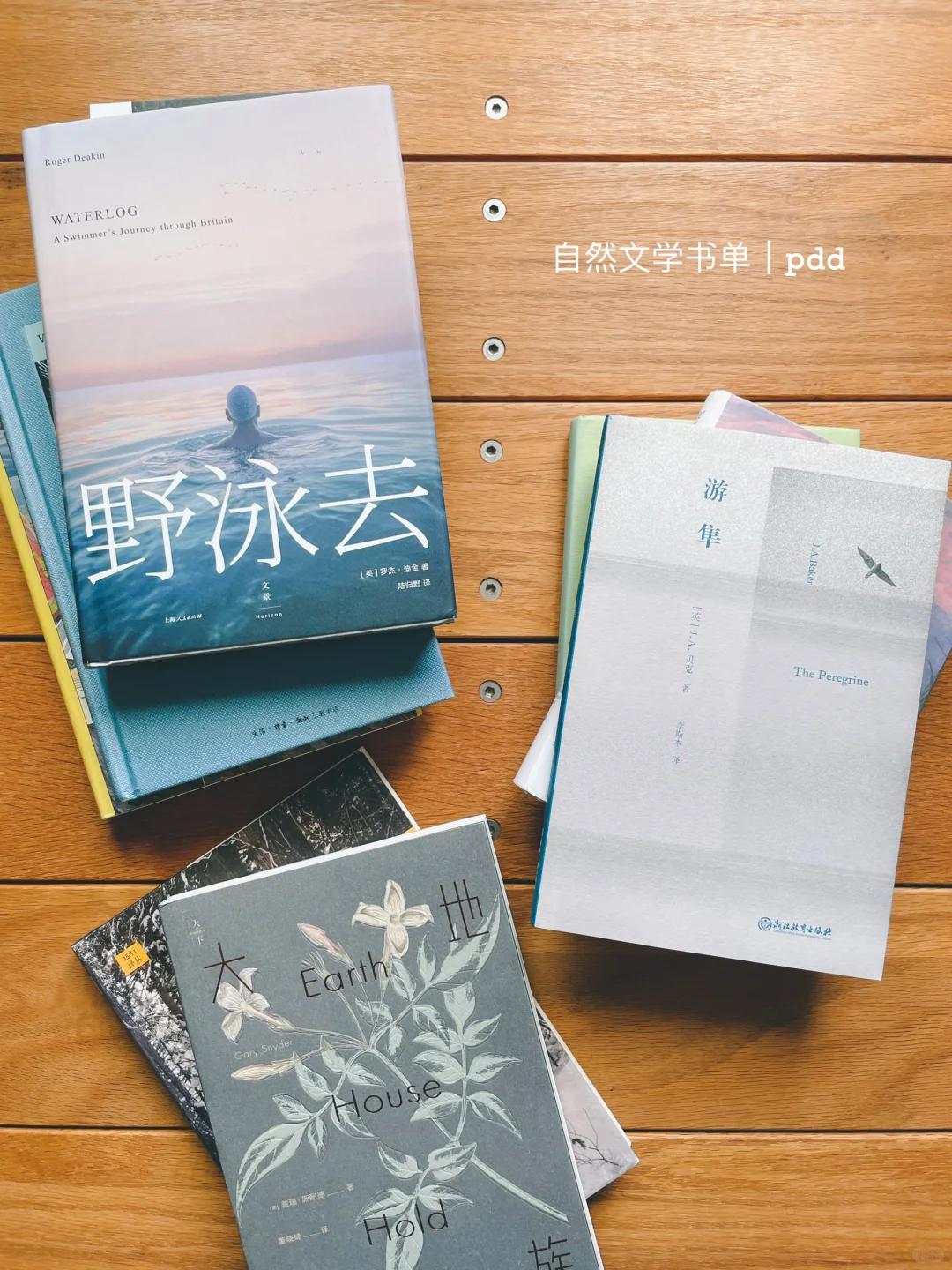 去荒野！你现在的生活，不值得过