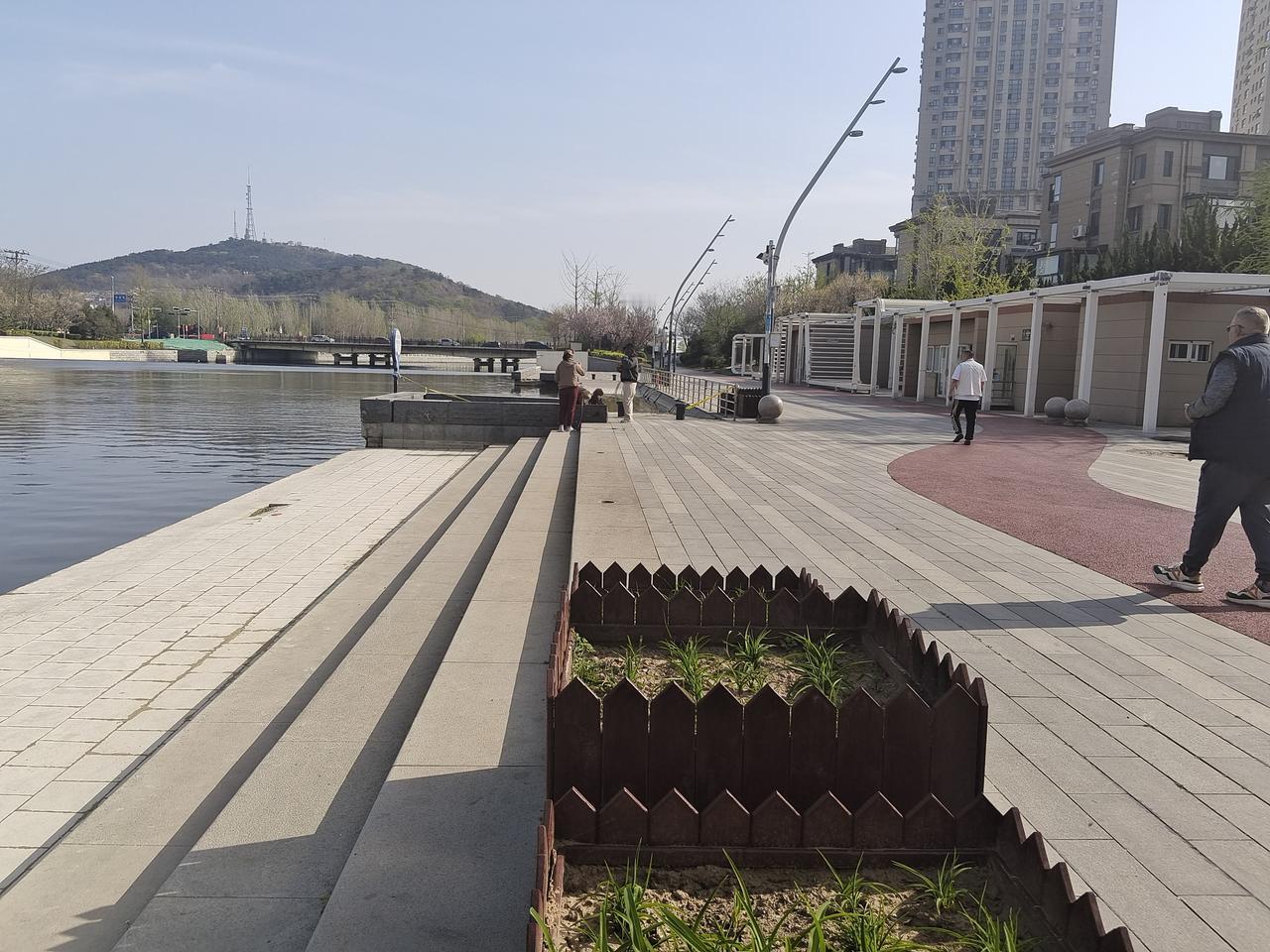 你相册里最近一次的植物的照片