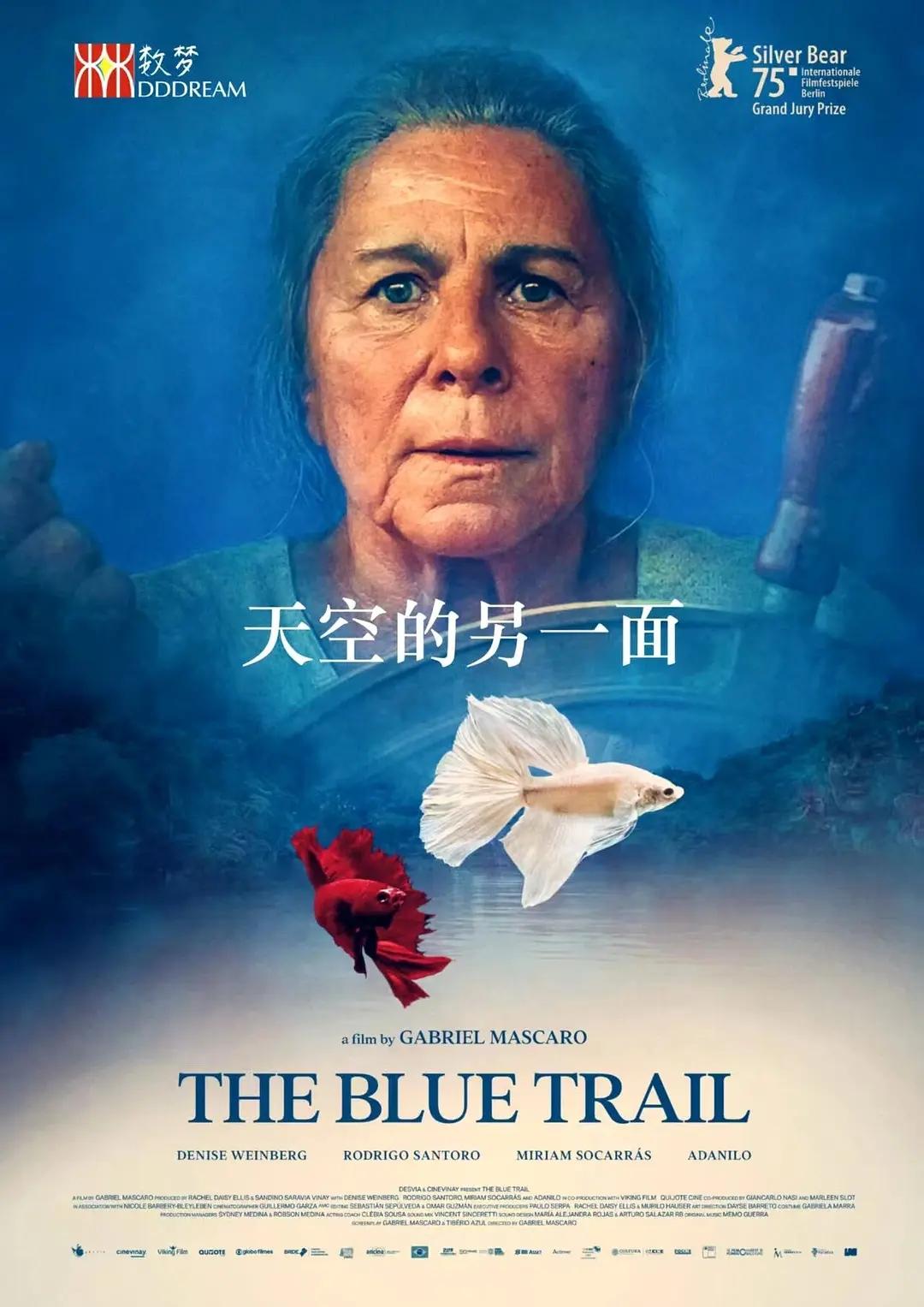 【[烟花]观影记录】
豆包：《天空的另一面》
🍀这是巴西导演加布里埃尔·马斯卡