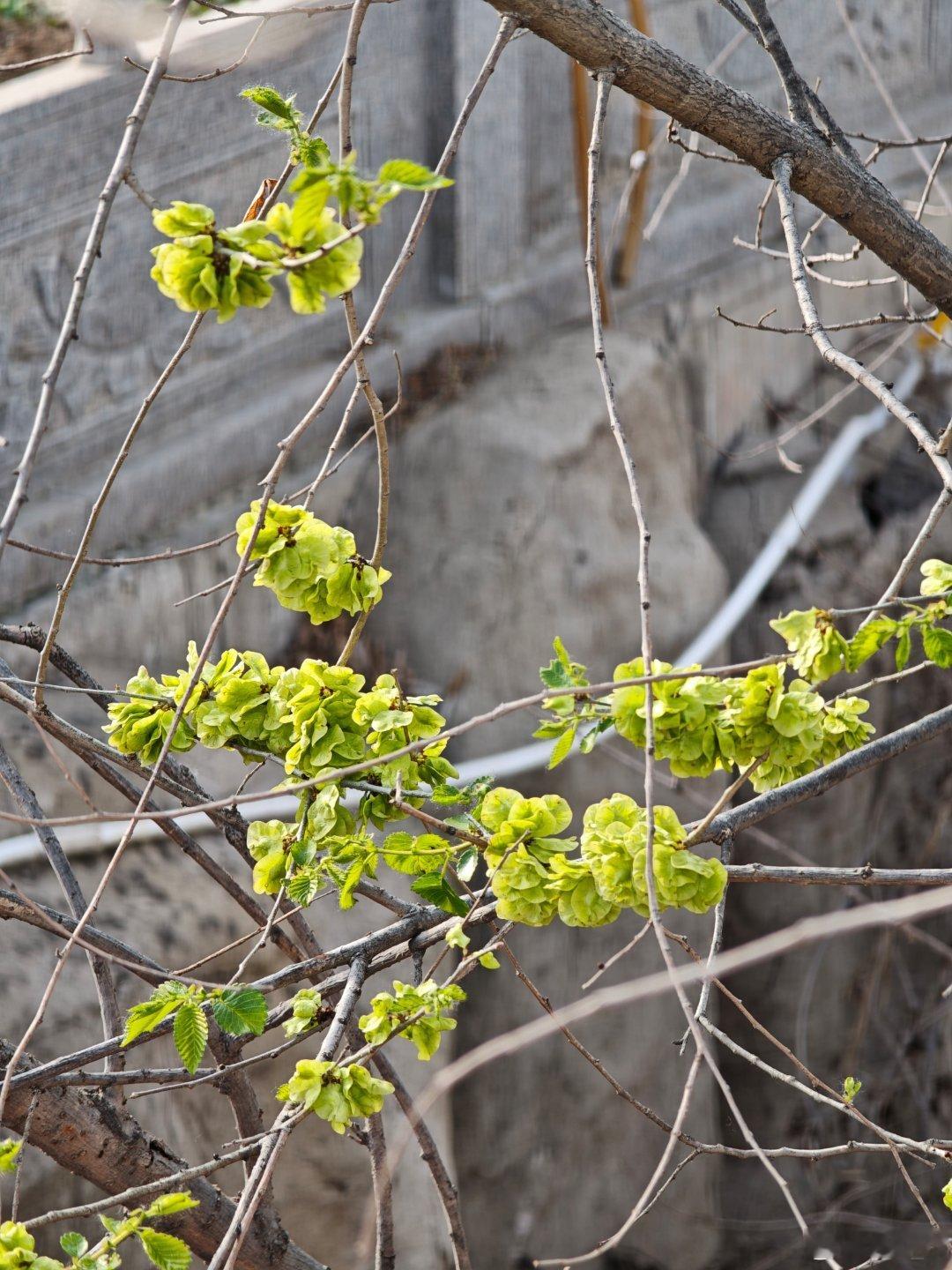 不知你们有没有见过那种带折角的书。外表完好无损，打开折角，不过一道浅浅的折痕。但
