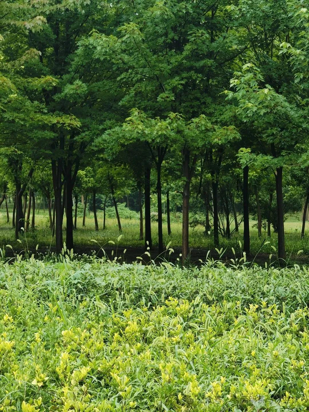 2026对自己说一句辛苦了。别忘了对自己好一点，好好休息，好好犒劳一下自己，给自