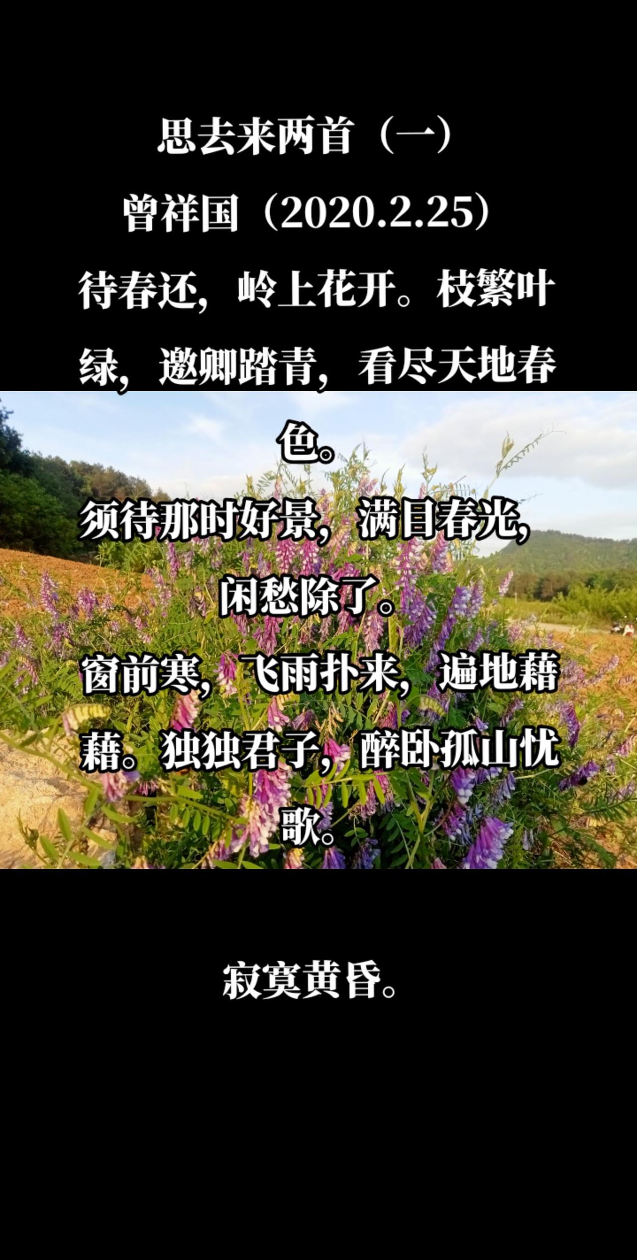 思去来两首（一）