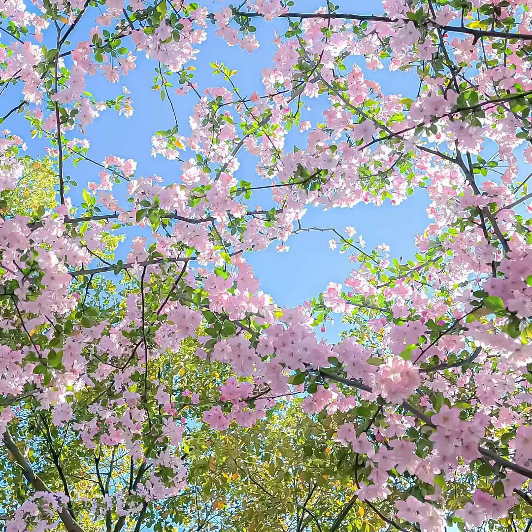 阳光信用 ☘️阳光信用 🍀每日一善人生的路经历过，才知道有短有长；岁月，在无憾