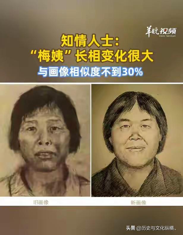 谈之色变的人贩子"梅姨"己落网。她前后拐卖10多名儿童，同伙虽早已归案，本人却逍