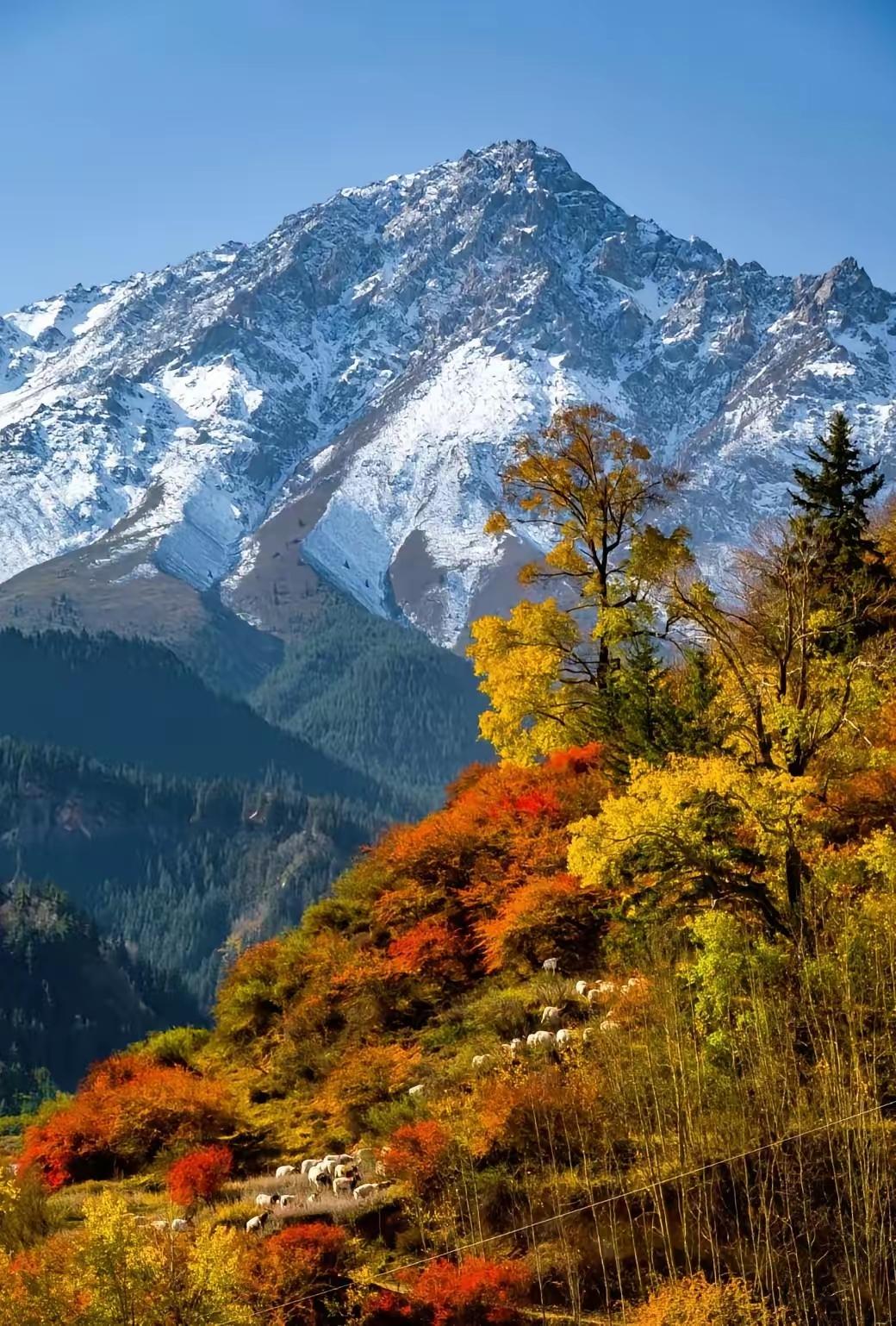 生活是一幅绚丽多彩的画卷，每一种经历都是一抹独特的色彩。有欢笑，有泪水；有成功，