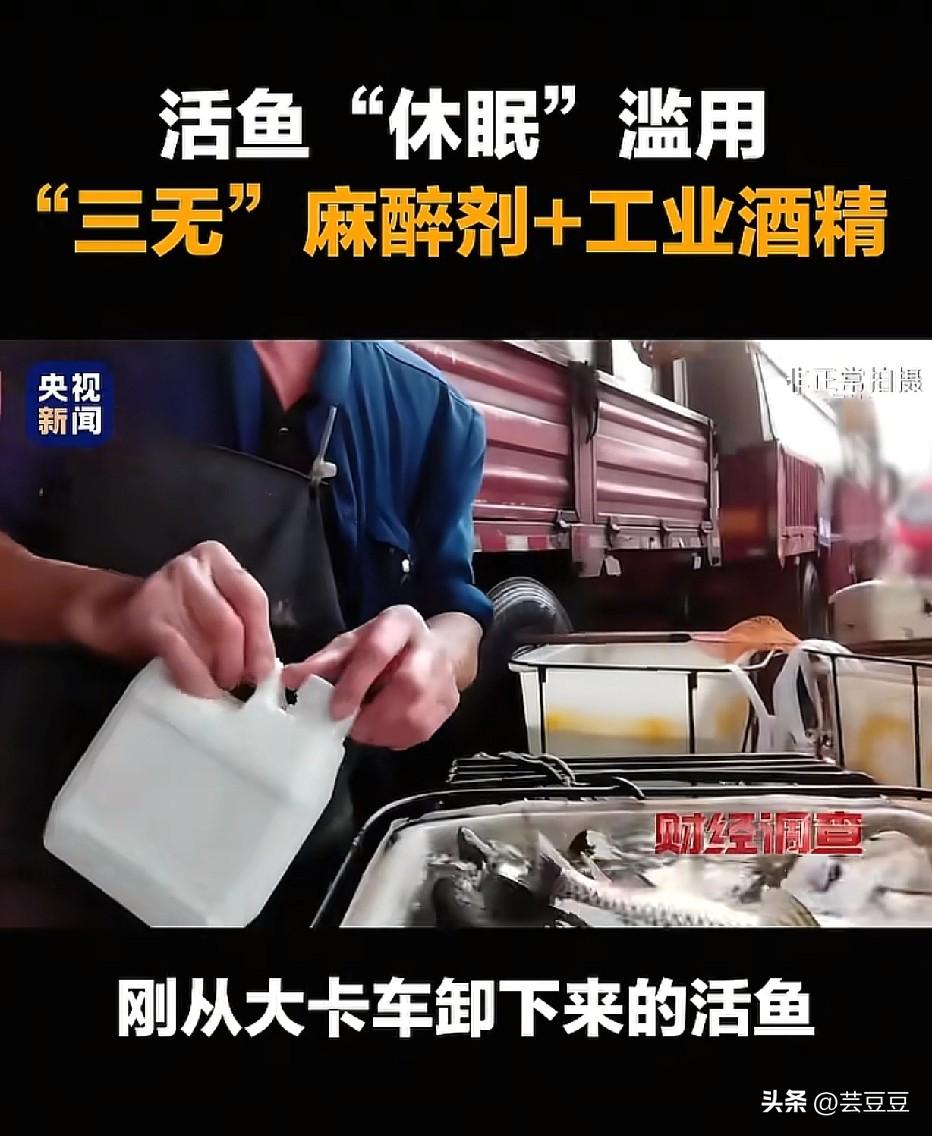 315还没完！活鱼被喂“麻醉药”，剧毒残留伤肝肾，你家可能天天在吃，太可怕了！