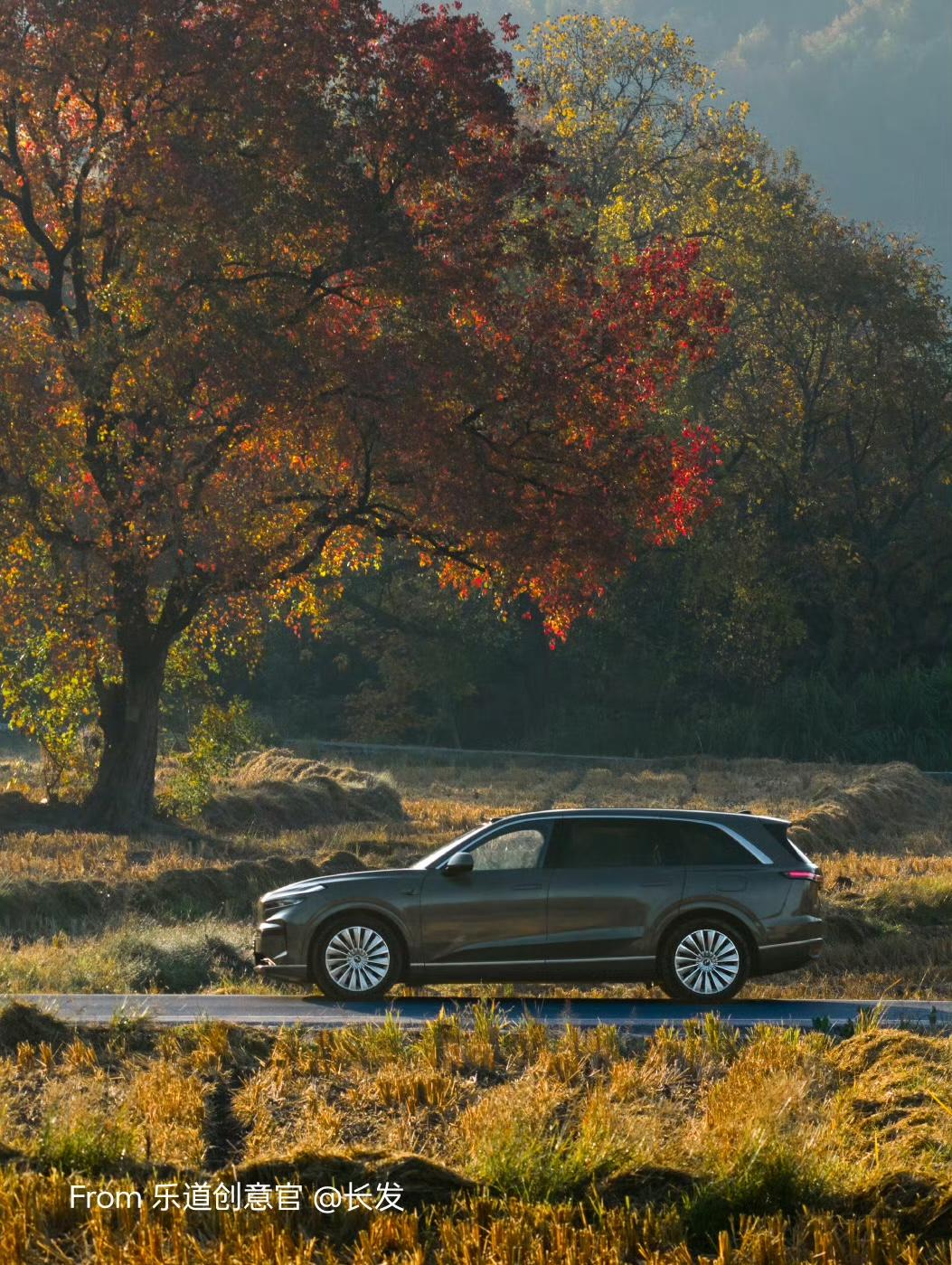 2025年年度最有趣的车型！

大家认为哪款车型给到你最大的乐趣？

第一，领克