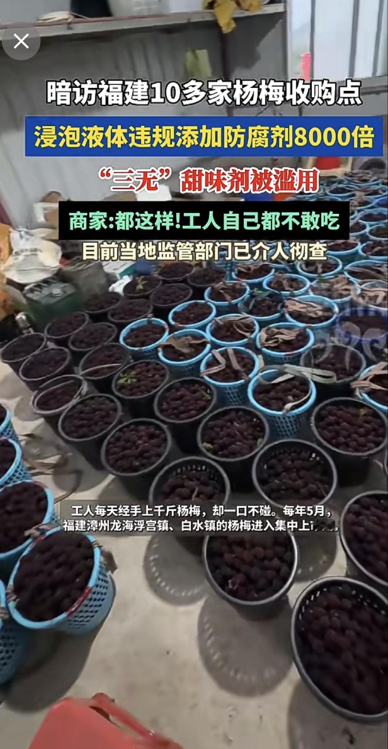 暗访福建10多家杨梅收购点浸泡液体违规添加防腐剂8000倍"三无"甜味剂被滥用商