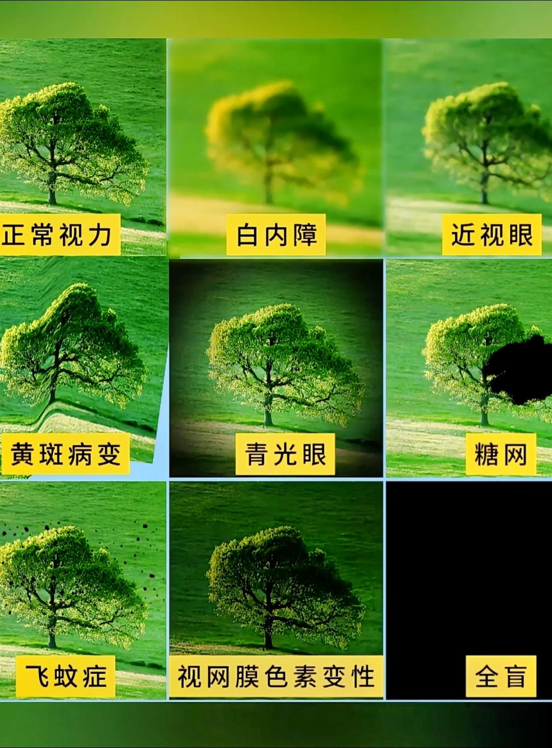 仅供参考日常养生小常识