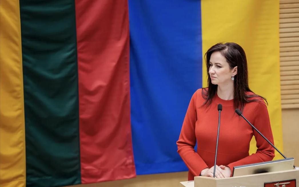 立陶宛议会警告：在对华发出缓和信号后，中国半年都没有回应，接下来不排除采取其他行