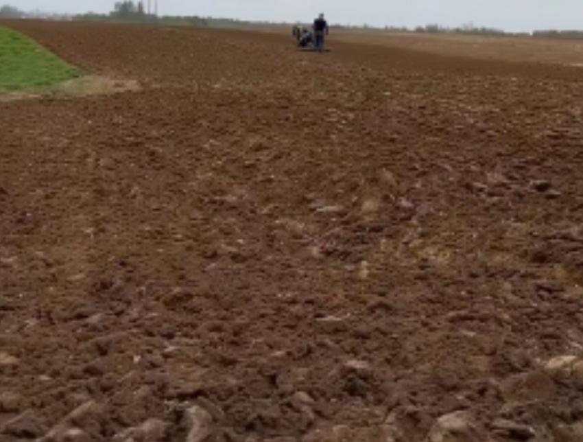 河北永年侄子开车撞死大伯案后续，太让人痛心。

因为27年土地纠纷，侄子竟租车凌