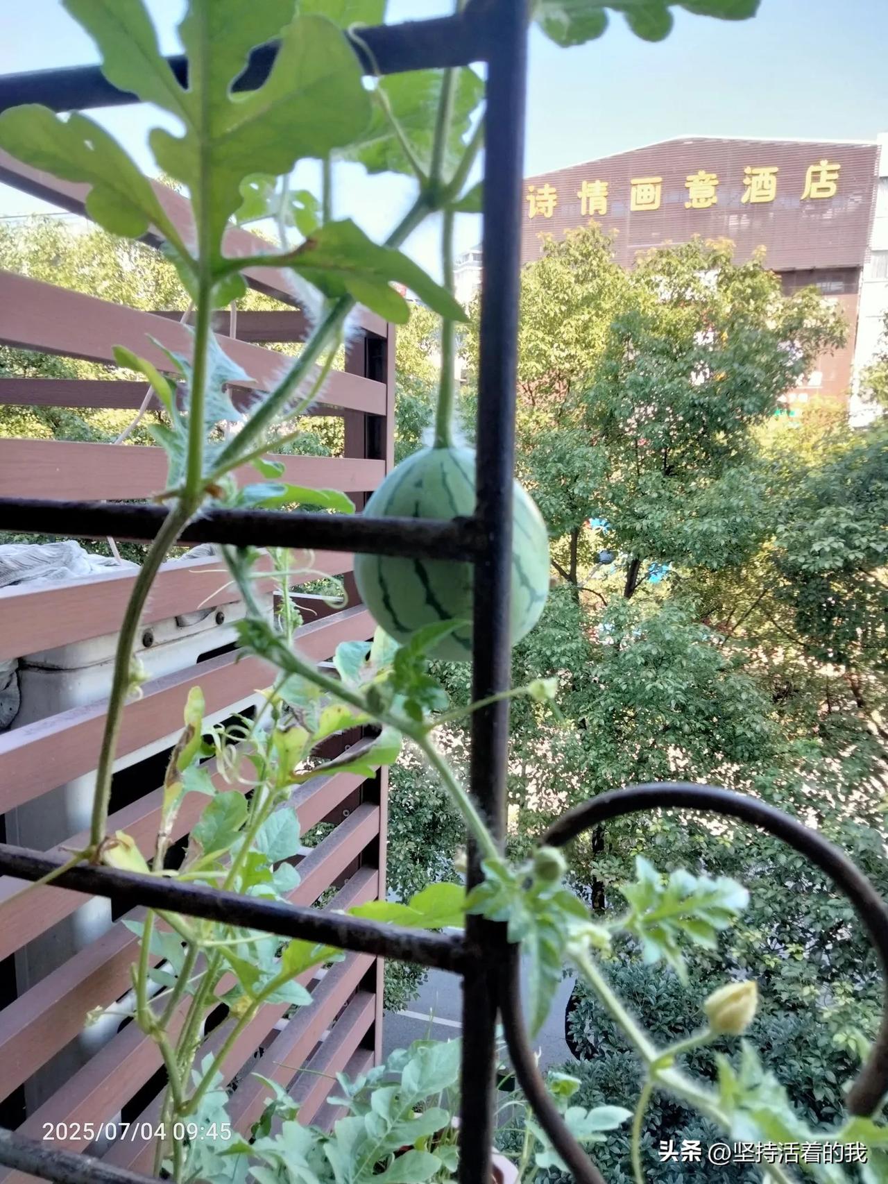 女儿高考分数出来了，只考了384分，刚刚过本科线14分，现在很纠结，到底是上一个