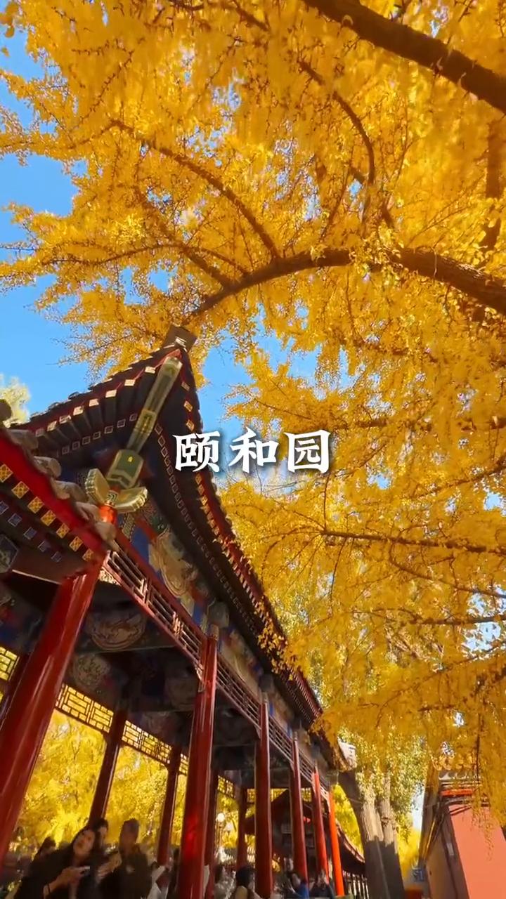 接下来的北京是这样的：
·颐和园。
·地坛公园。
·香山公园。
·钓鱼台。
·辛