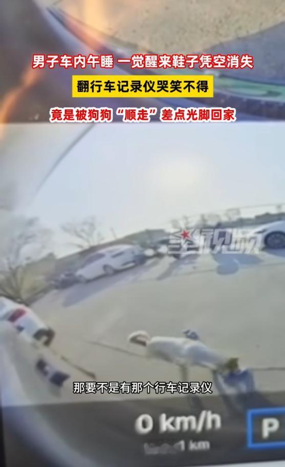 “笑不活了！”近日，上海，一男子在车内午睡，睡醒后发现鞋不见了，吓得他连忙查看行