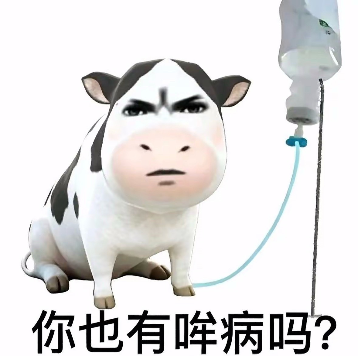 恋与深空 狼兔 到底回不回来 