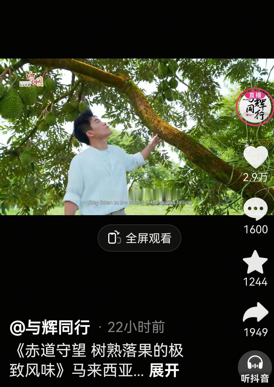 宇辉在马来西亚巡山，哈哈，寻他喜欢吃的榴莲。

好多朋友看了视频，都说涨见识了，