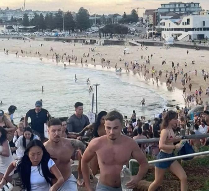 【谎称“去钓鱼”后屠城！澳洲枪击案凶手通话细节曝光】澳大利亚邦迪海滩 “海边光明