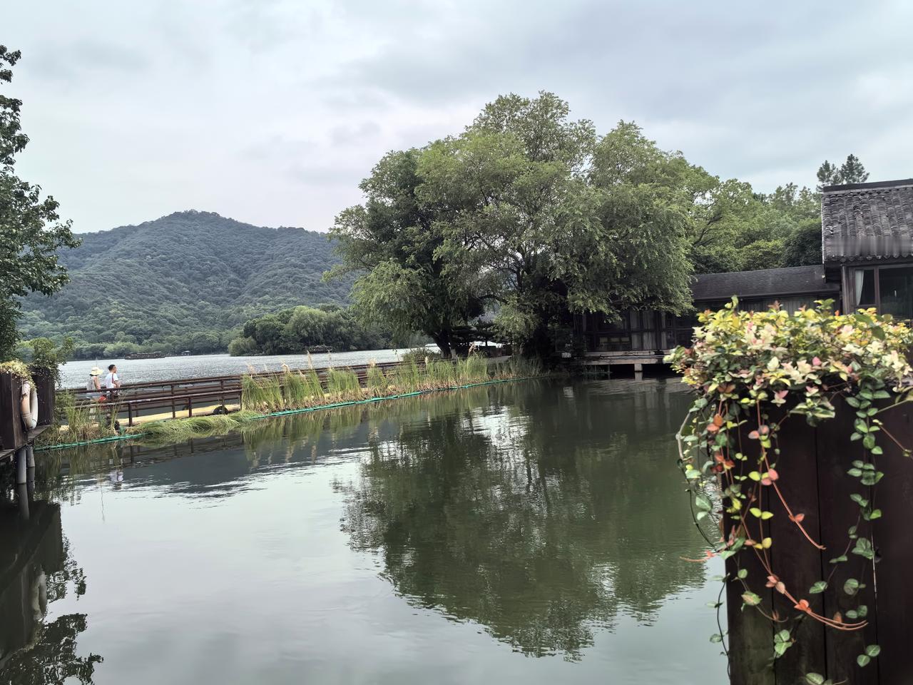 【老蒋谜艺（241）】
谜面:非要下车被听见
谜底:辈
解读:谜面直观理解的意思