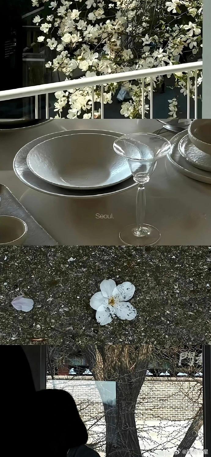 高清全屏壁纸丨自然美食手机壁纸丨聊天背景