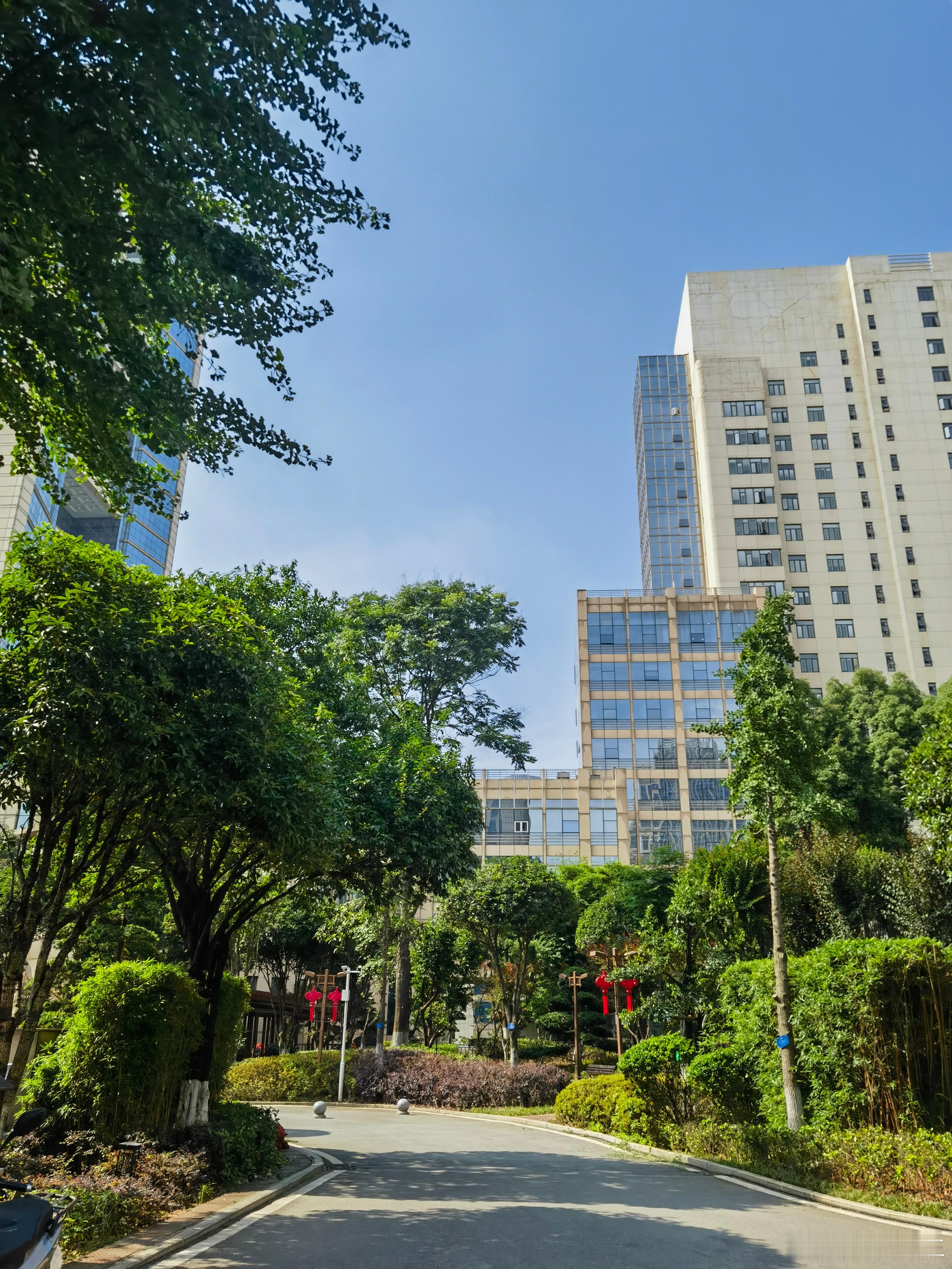 《财政科学论》前言钱学森院士在构建中国现代系统科学体系时留下经典论断：“所谓科学