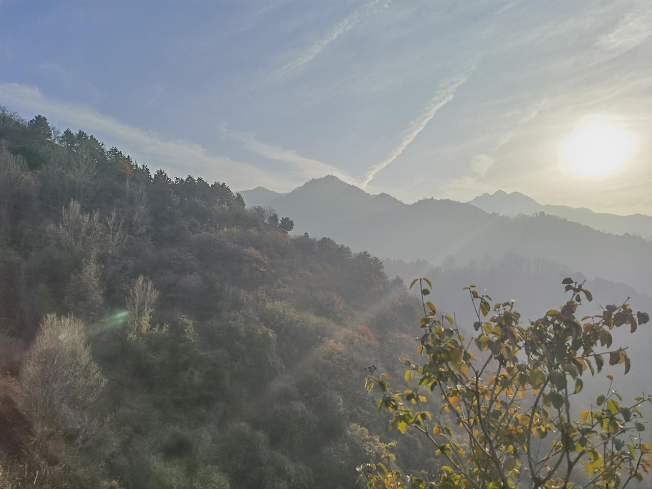 山南水北趣谈一二：
        漂泊第二故乡的那些日子，午餐后多与“群侯”踱