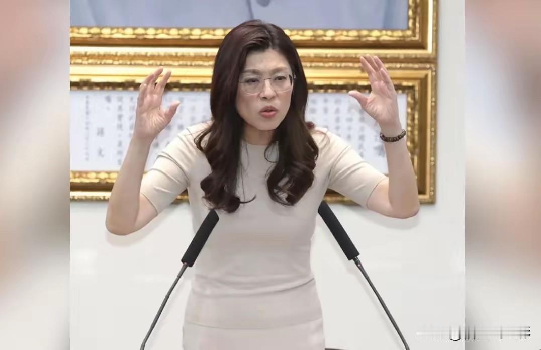 摊牌了！就在5月15日，郑丽文与赵少康隔空爆发激烈争吵，照这种势头发展下去，其中