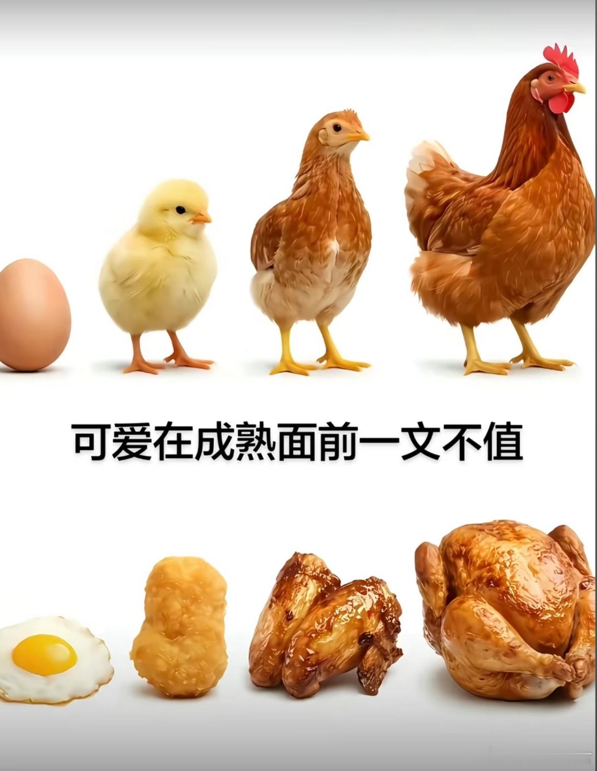 可爱在成熟面前一文不值 
